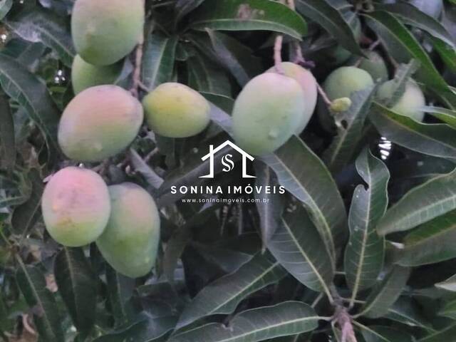 Chácara para Venda em Bom Jesus dos Perdões - 5