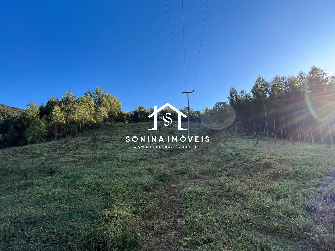 Sítio, 6 quartos, 56 hectares - Foto 16