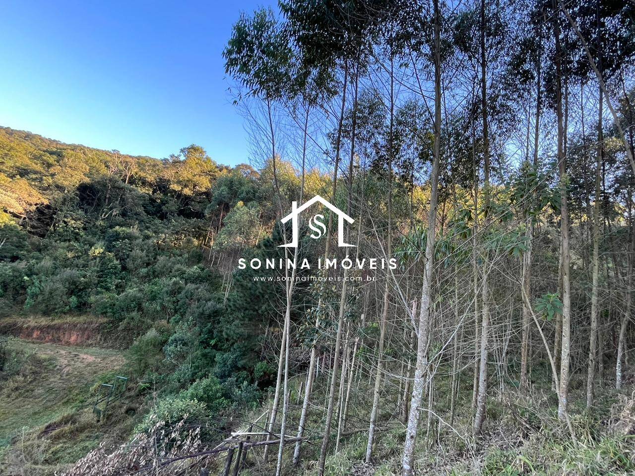 Sítio, 6 quartos, 56 hectares - Foto 23