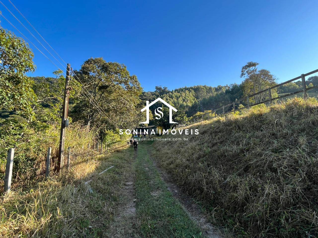 Sítio, 6 quartos, 56 hectares - Foto 24