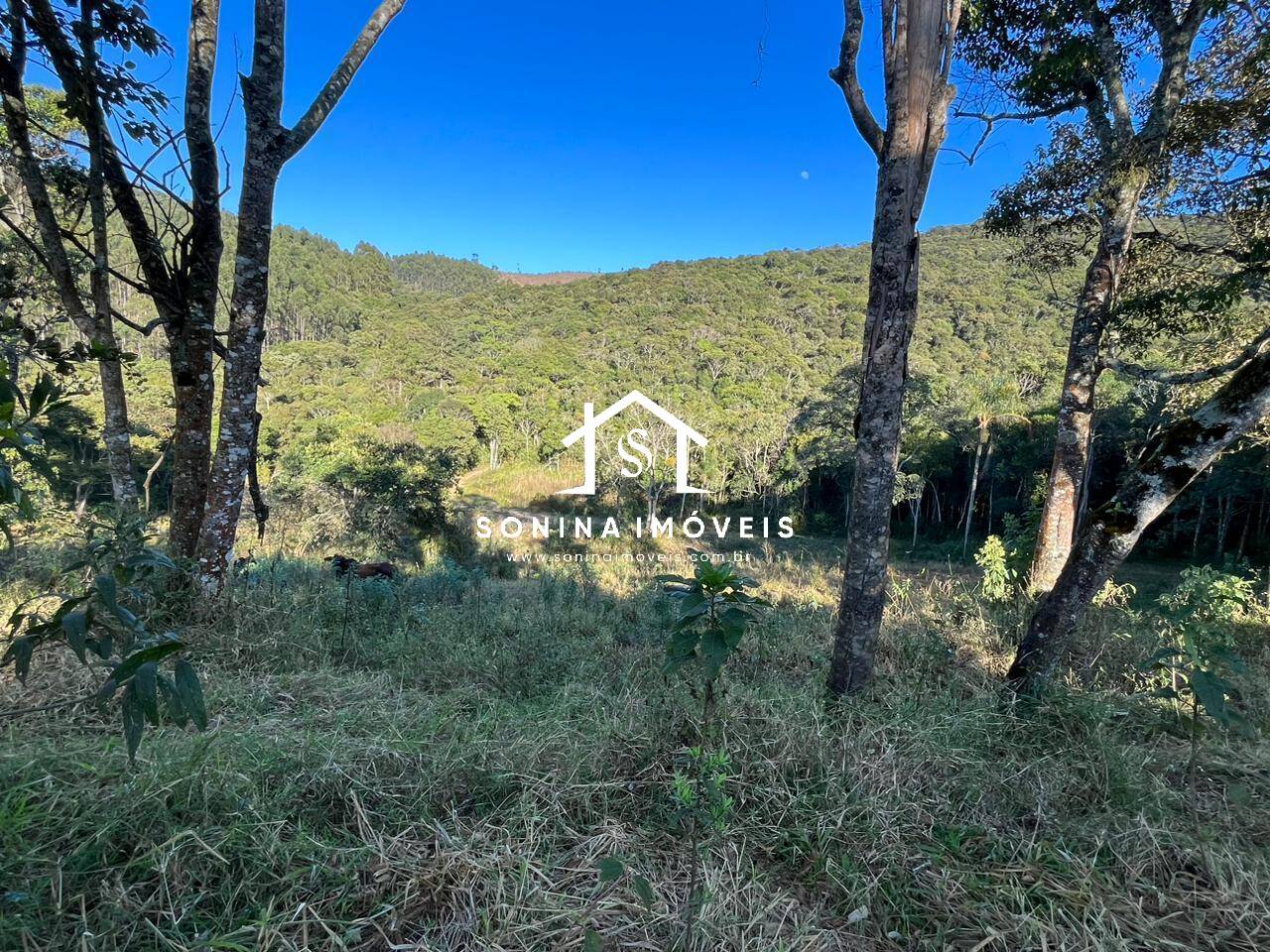 Sítio, 6 quartos, 56 hectares - Foto 26