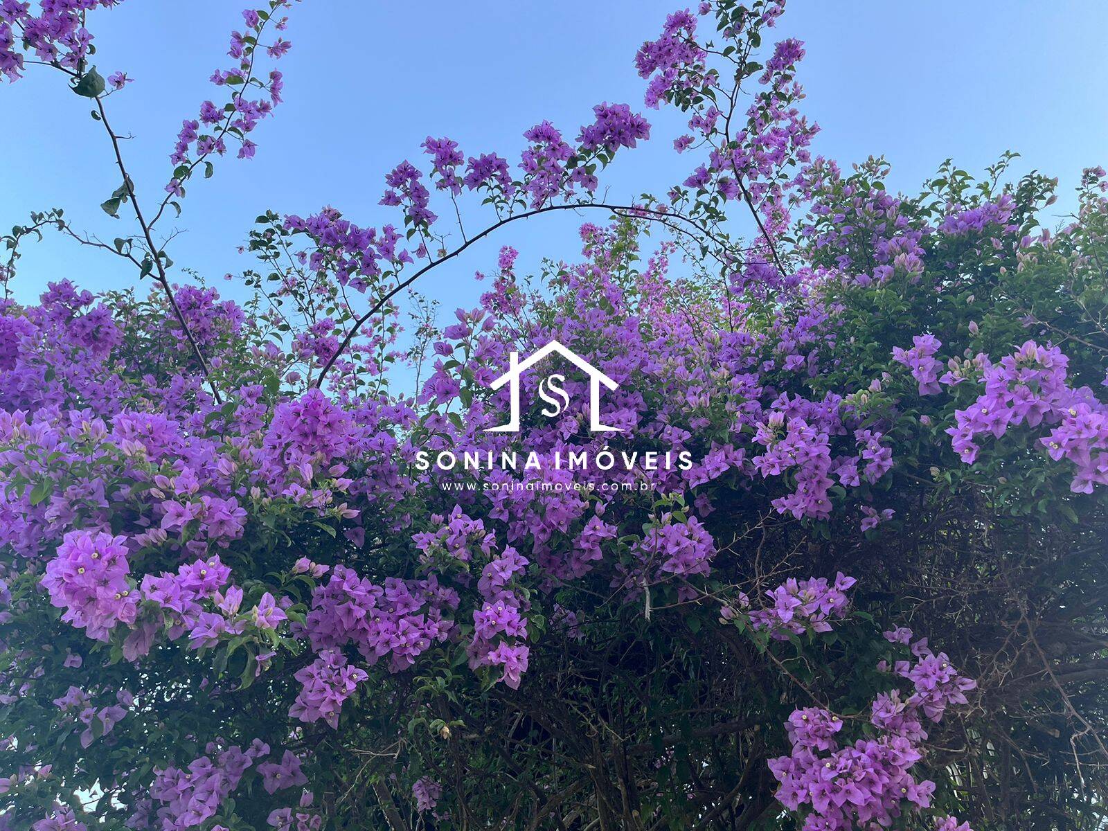 Sítio, 6 quartos, 56 hectares - Foto 50