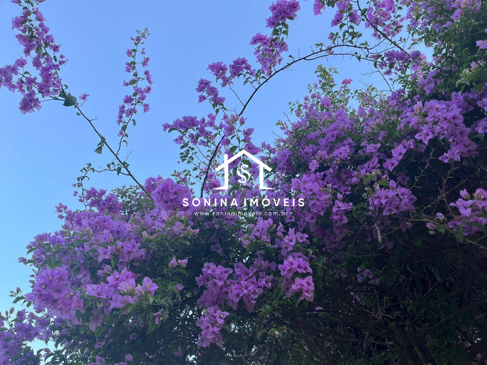 Sítio, 6 quartos, 56 hectares - Foto 51