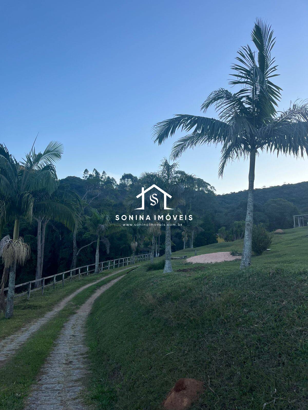 Sítio, 6 quartos, 56 hectares - Foto 48