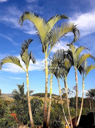 Prédio Inteiro, 1200 m² - Foto 16