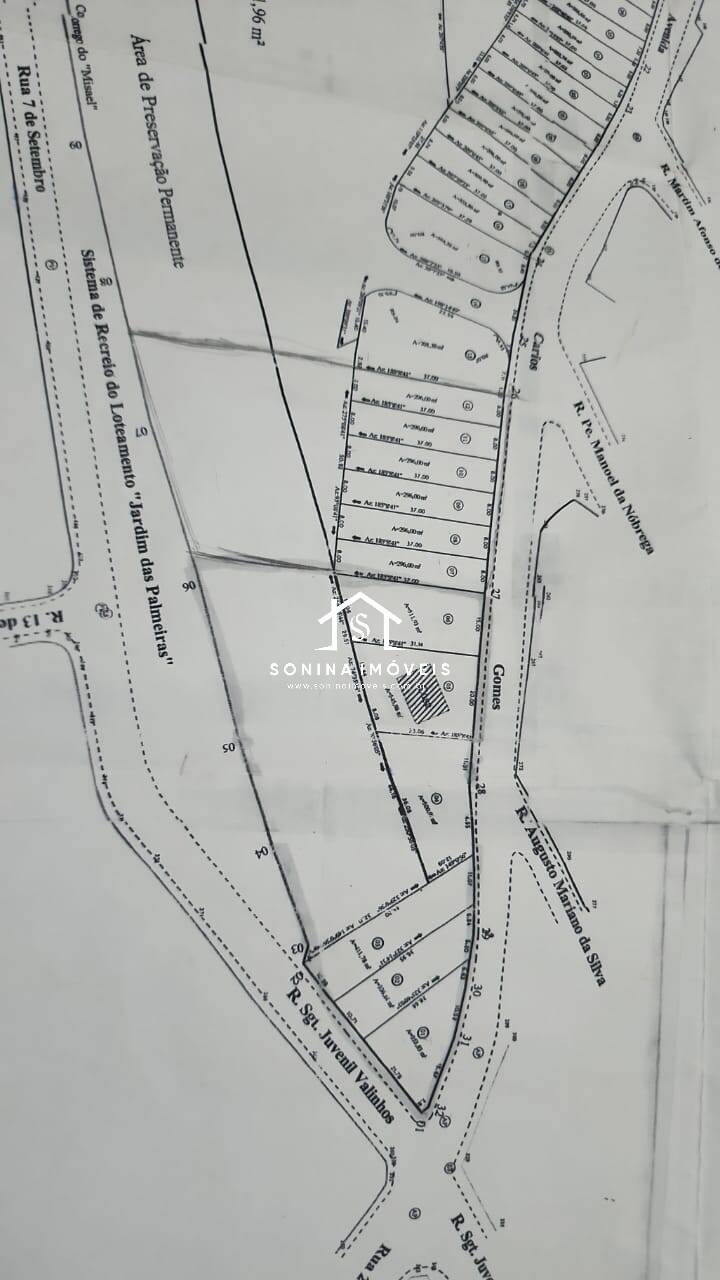 Terreno, 4 hectares - Foto 6