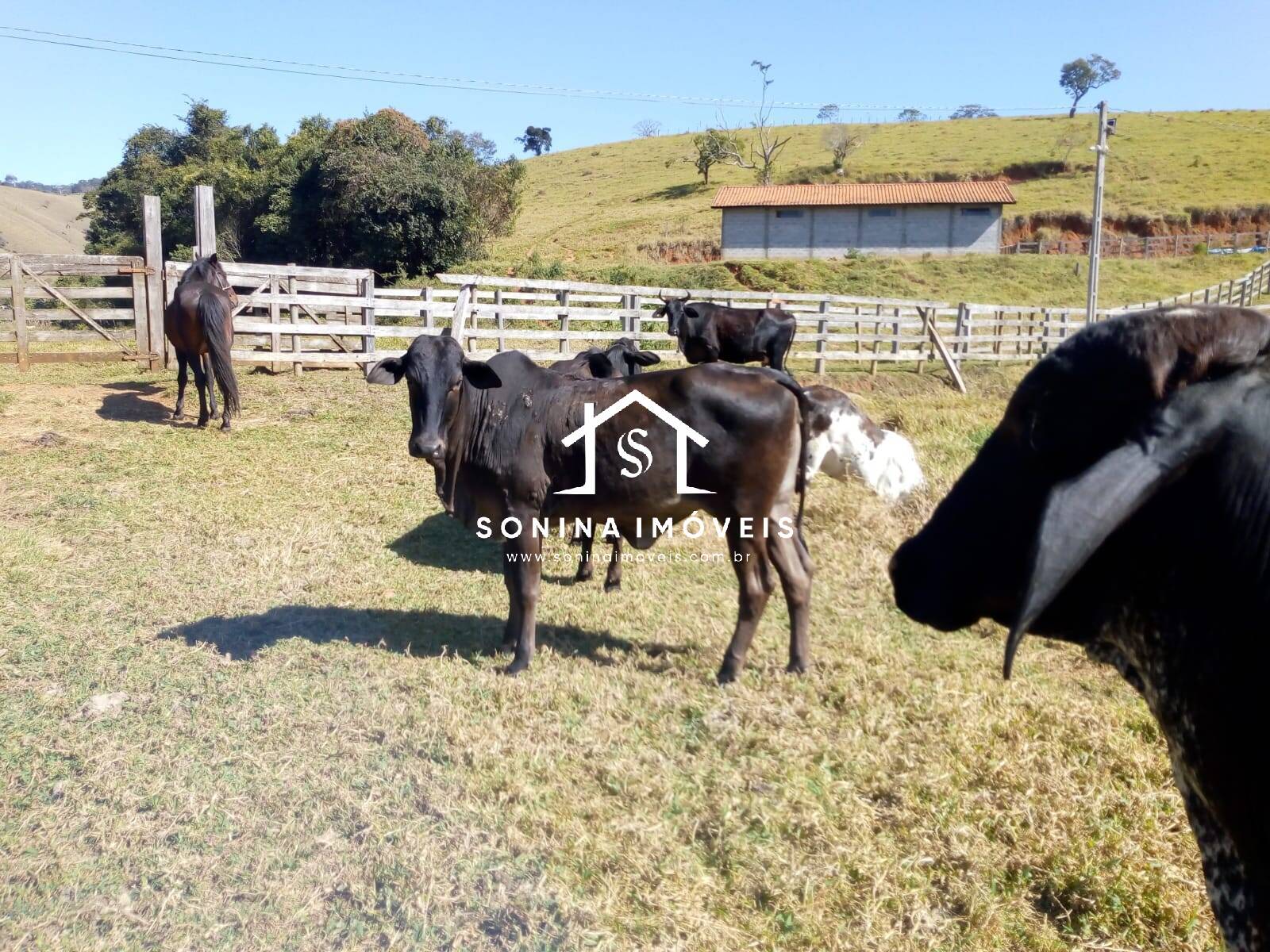 Fazenda-Sítio-Chácara, 200 m² - Foto 6