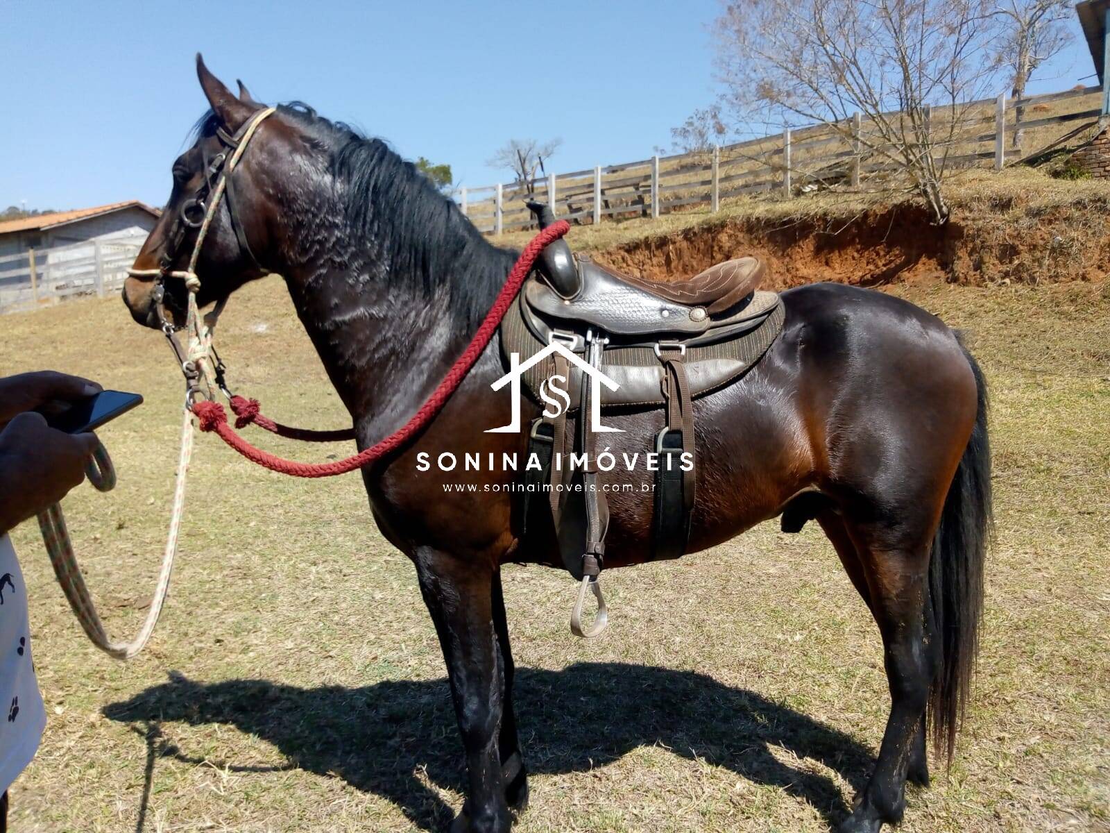 Fazenda-Sítio-Chácara, 200 m² - Foto 7