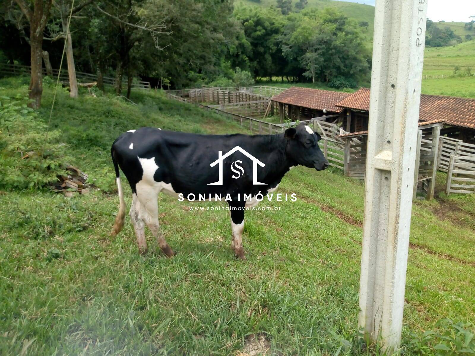 Fazenda-Sítio-Chácara, 200 m² - Foto 14