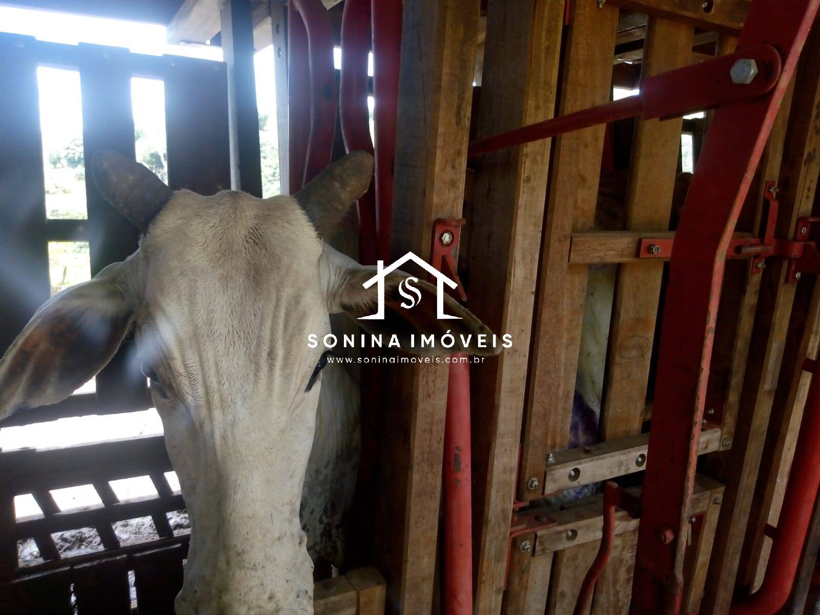 Fazenda-Sítio-Chácara, 200 m² - Foto 16