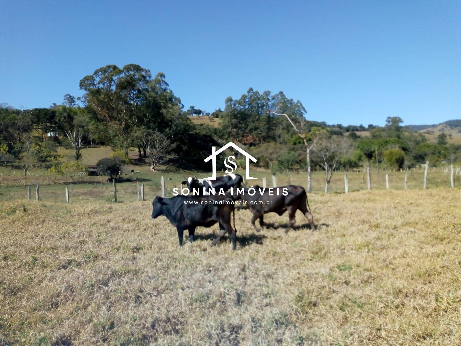 Fazenda-Sítio-Chácara, 200 m² - Foto 18