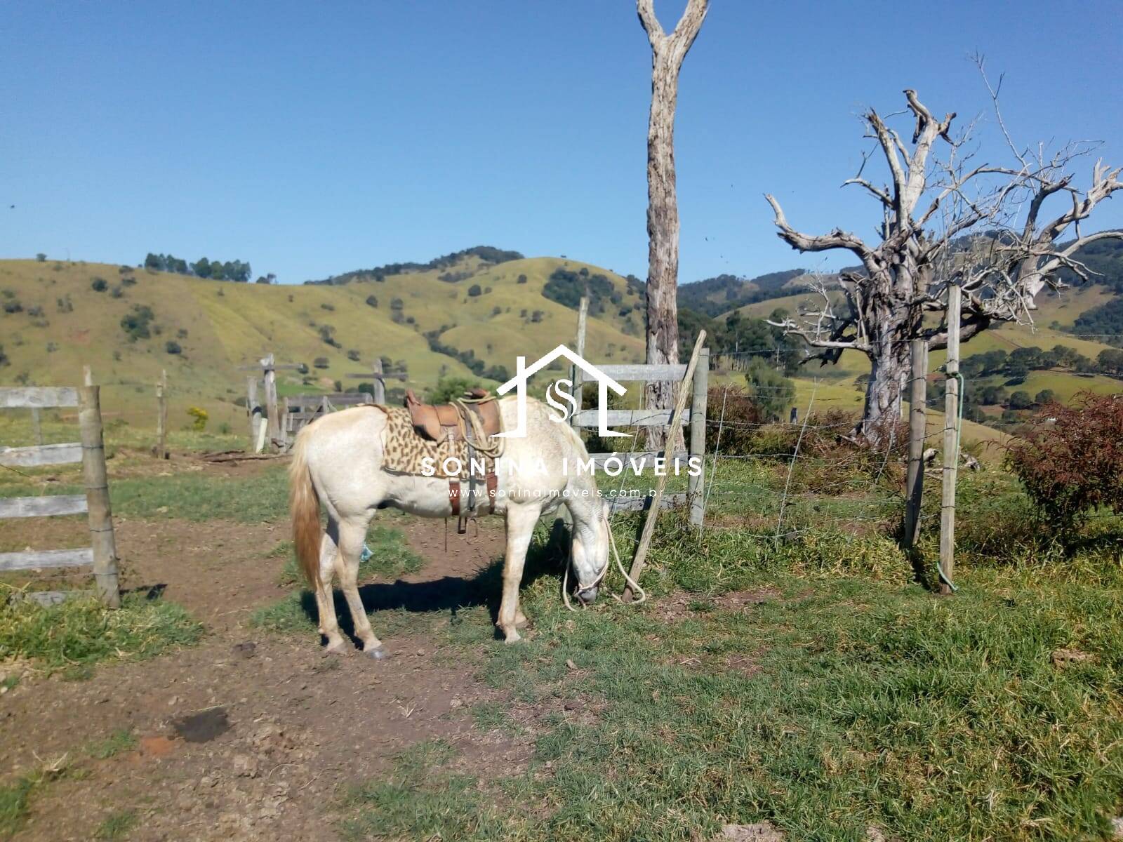 Fazenda-Sítio-Chácara, 200 m² - Foto 20