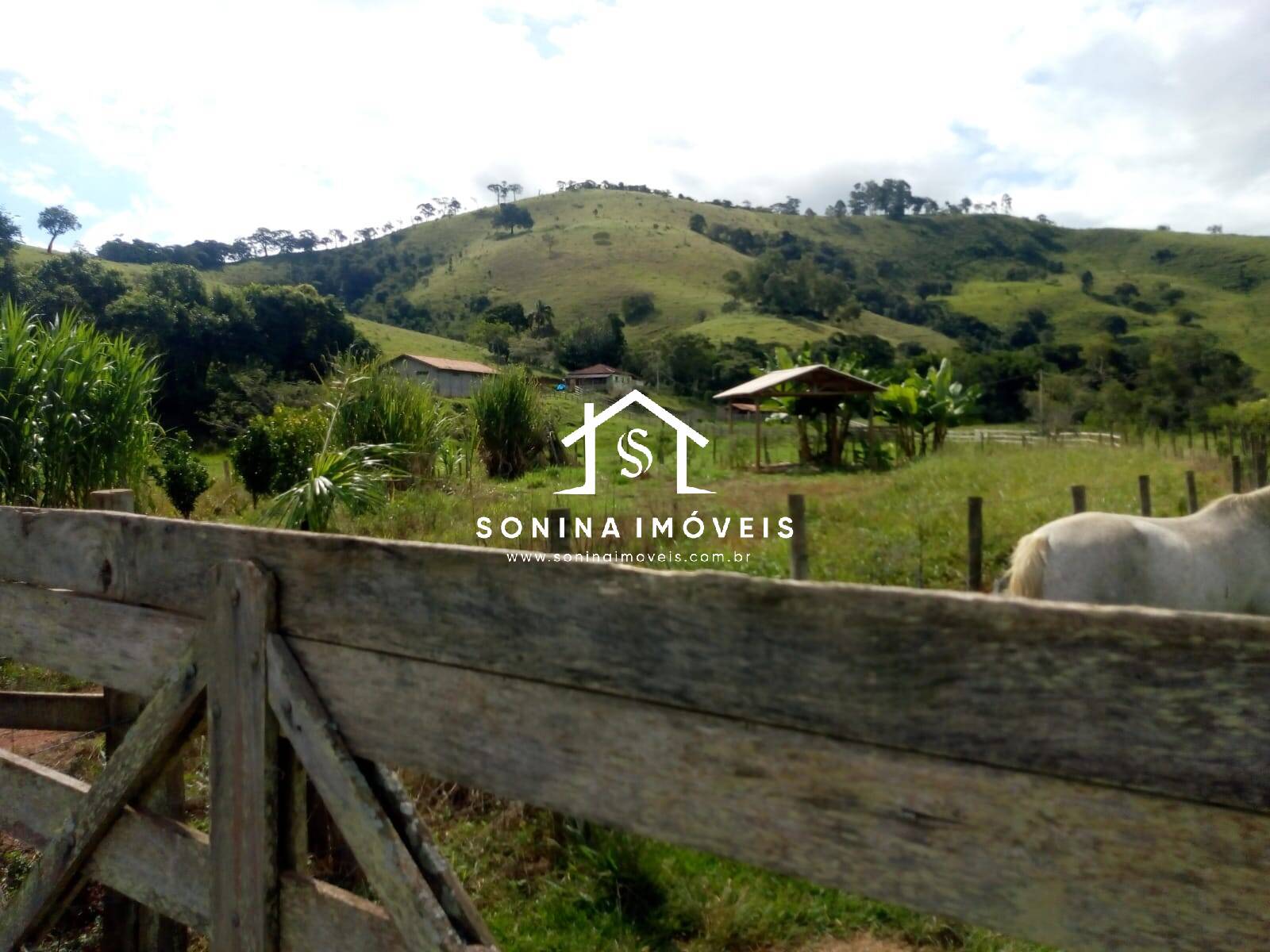 Fazenda-Sítio-Chácara, 200 m² - Foto 25