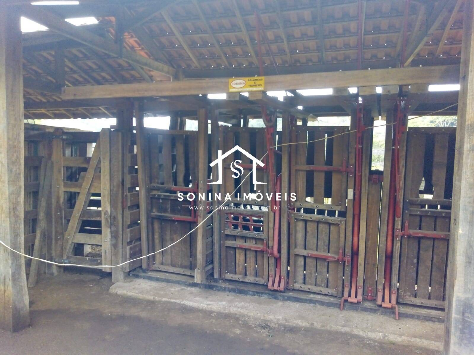 Fazenda-Sítio-Chácara, 200 m² - Foto 31