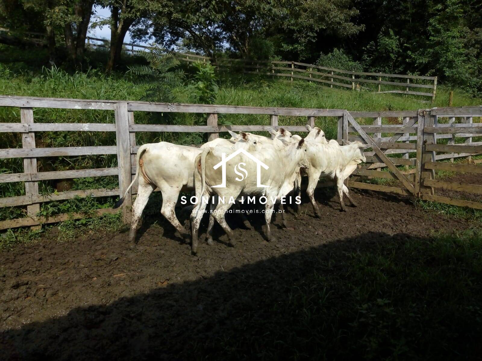 Fazenda-Sítio-Chácara, 200 m² - Foto 32