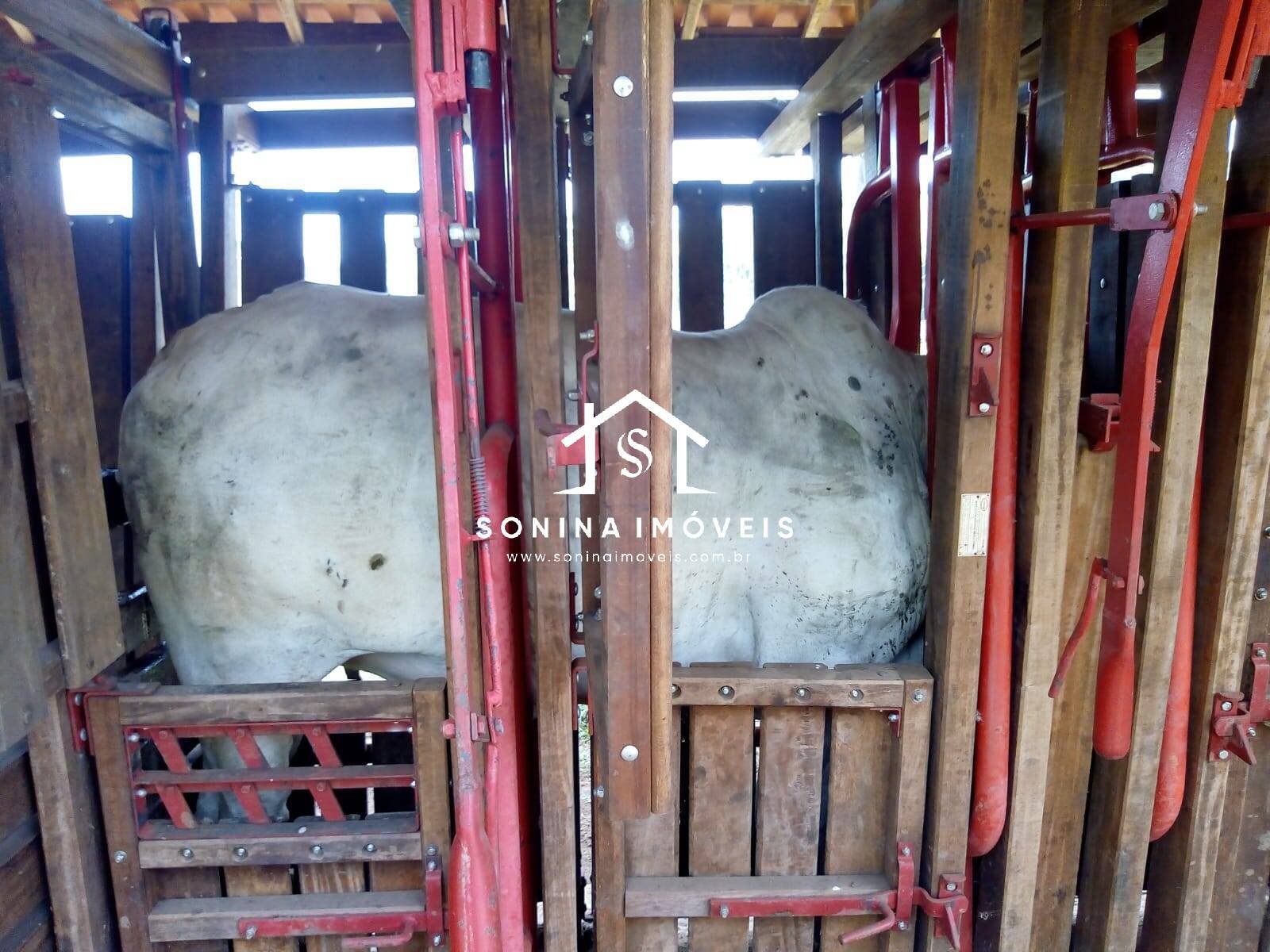 Fazenda-Sítio-Chácara, 200 m² - Foto 3