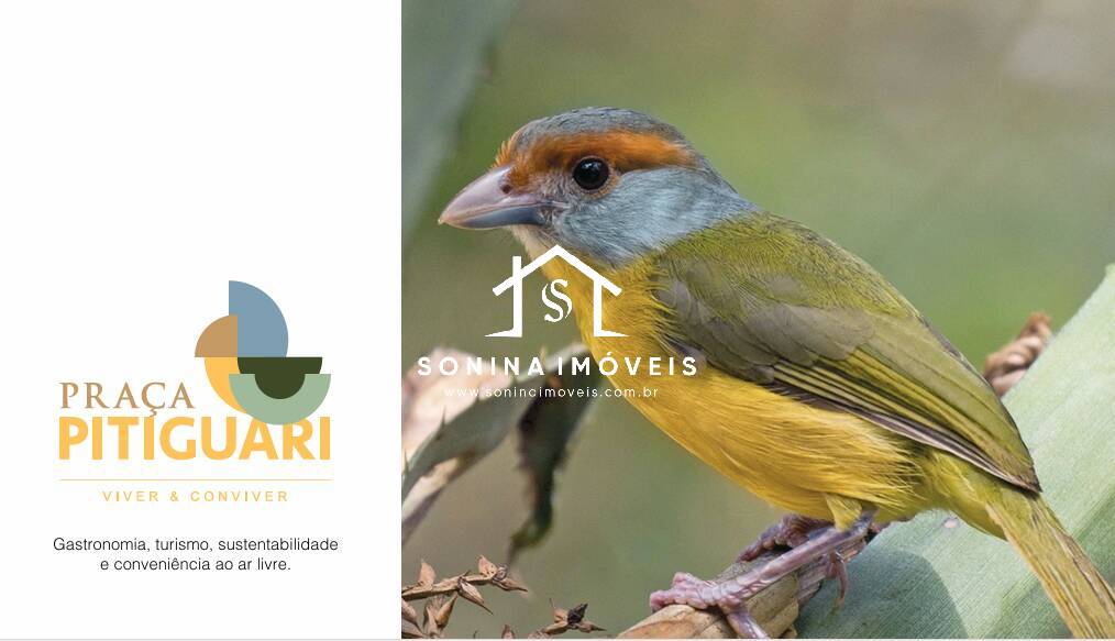 Loja-Salão, 100 m² - Foto 2