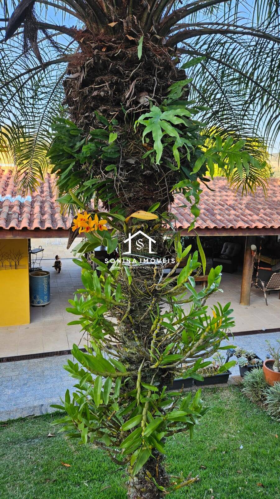 Casa, 4 quartos, 300 m² - Foto 45