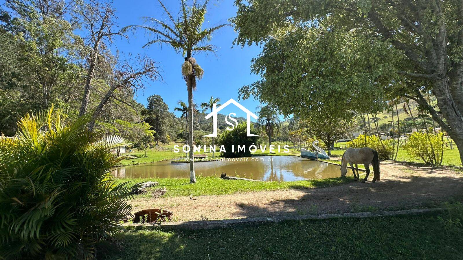 Fazenda, 5 hectares - Foto 13