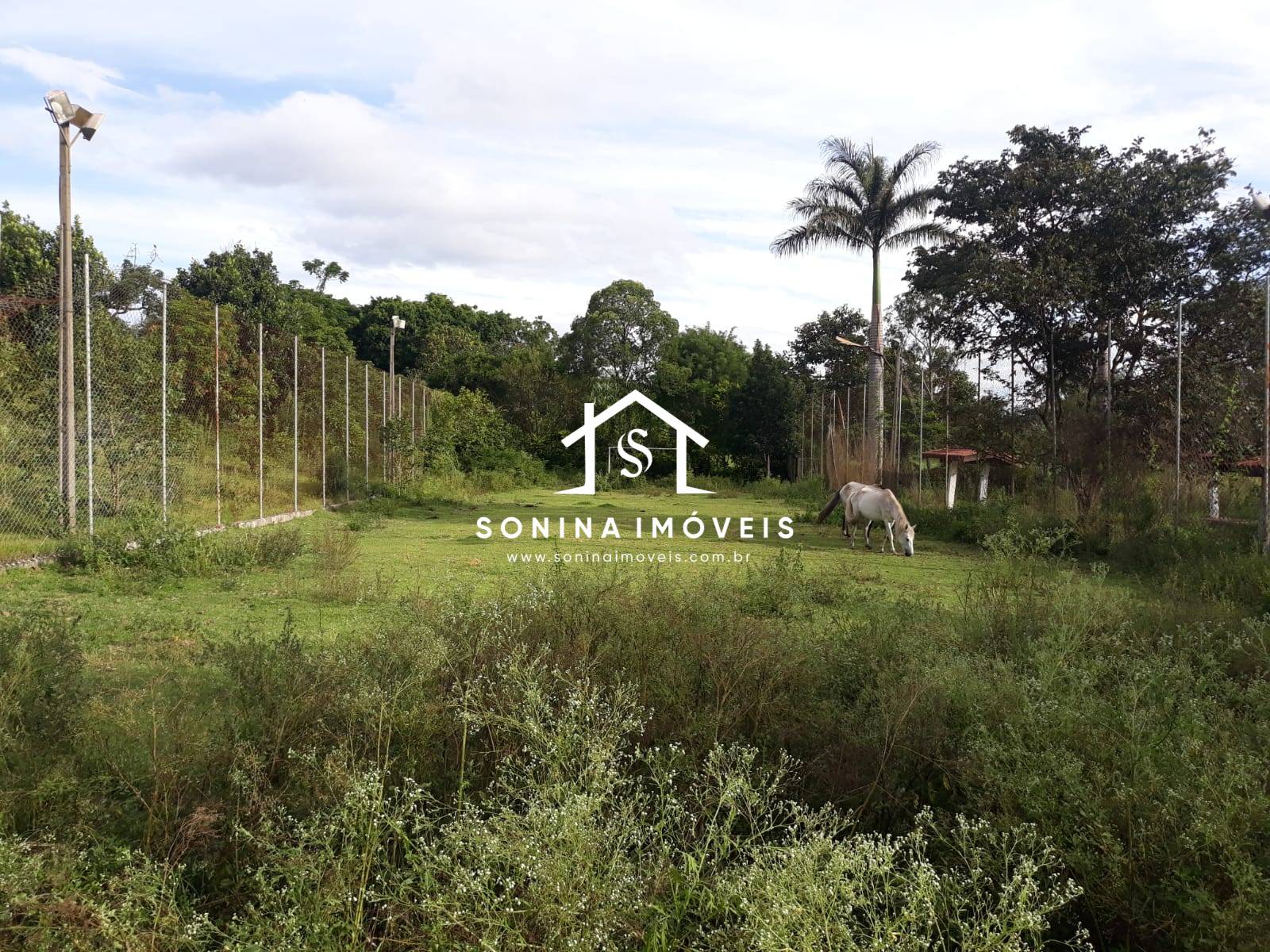 Sítio, 5 quartos, 2 hectares - Foto 10