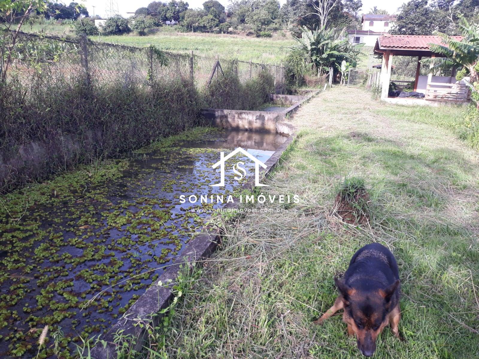 Sítio, 5 quartos, 2 hectares - Foto 12