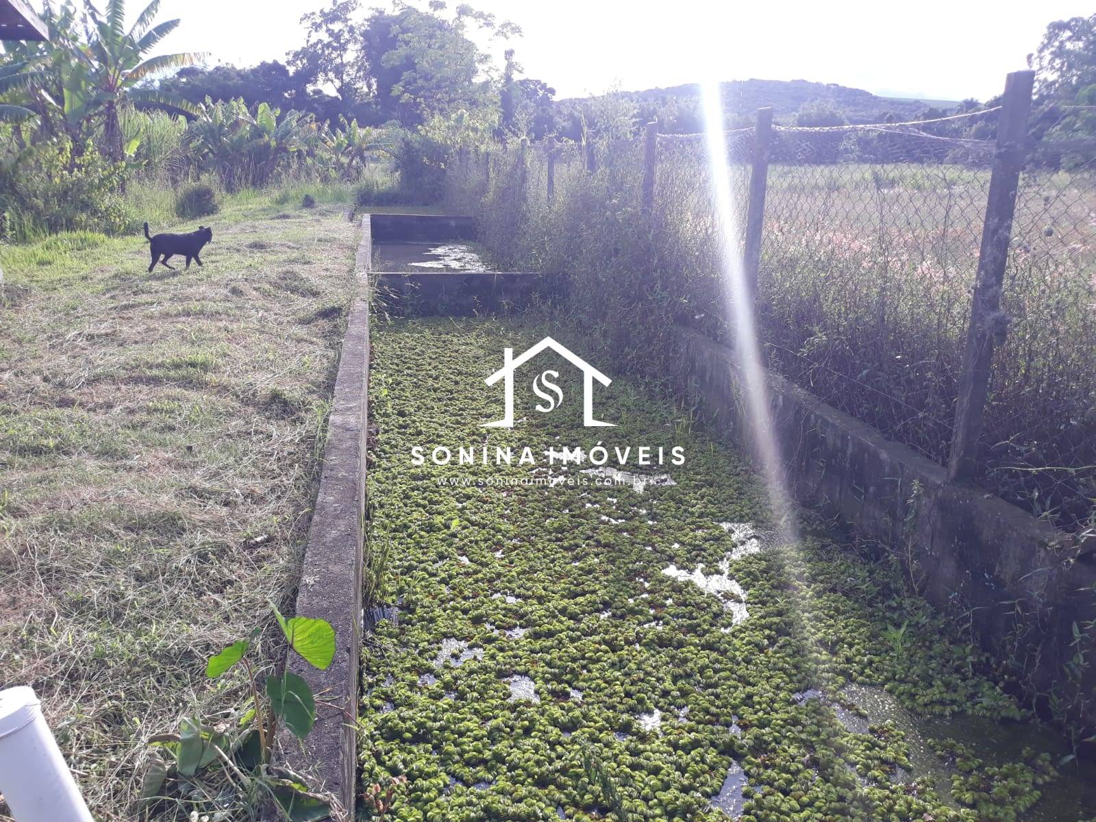 Sítio, 5 quartos, 2 hectares - Foto 13