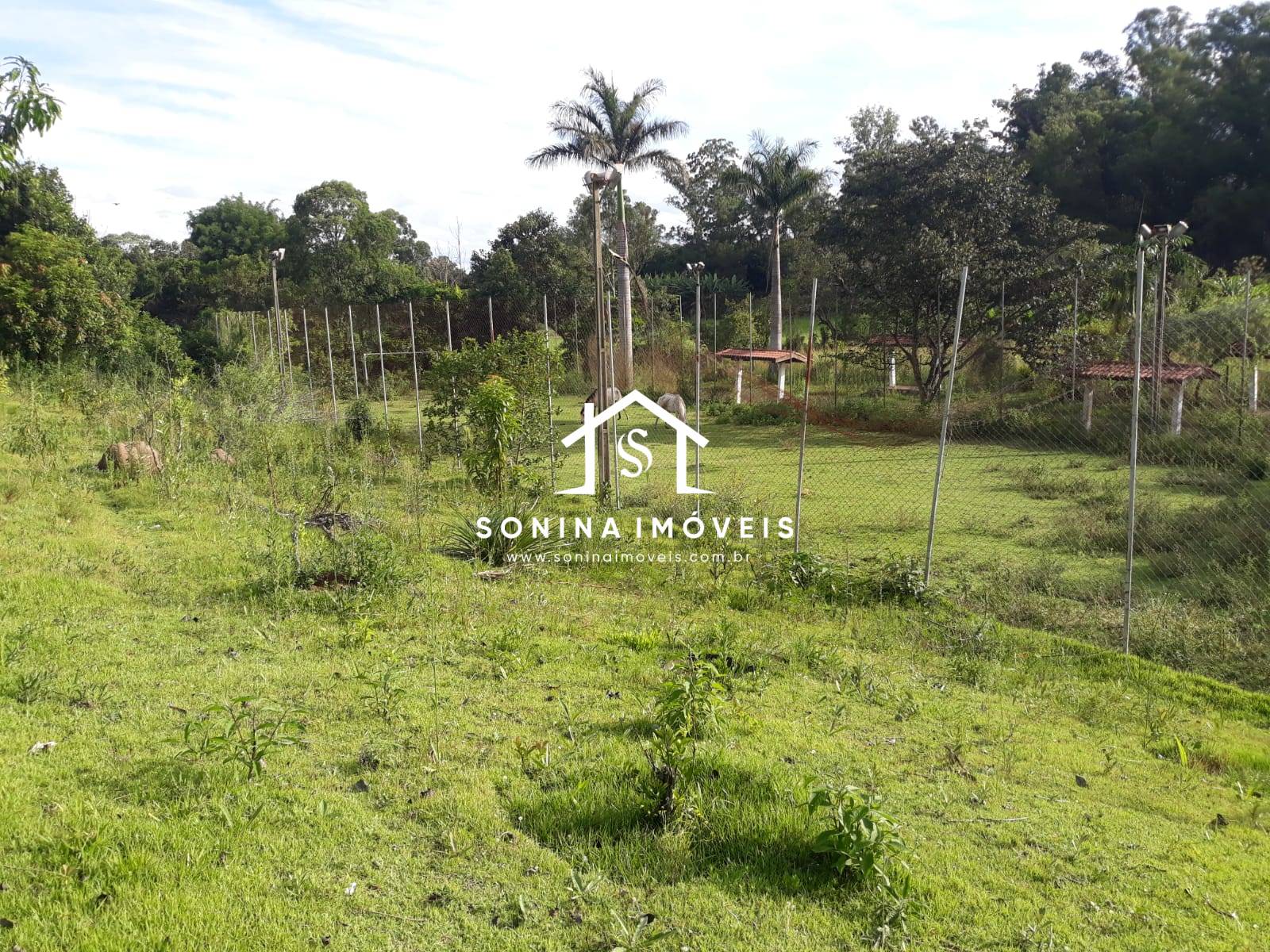 Sítio, 5 quartos, 2 hectares - Foto 15