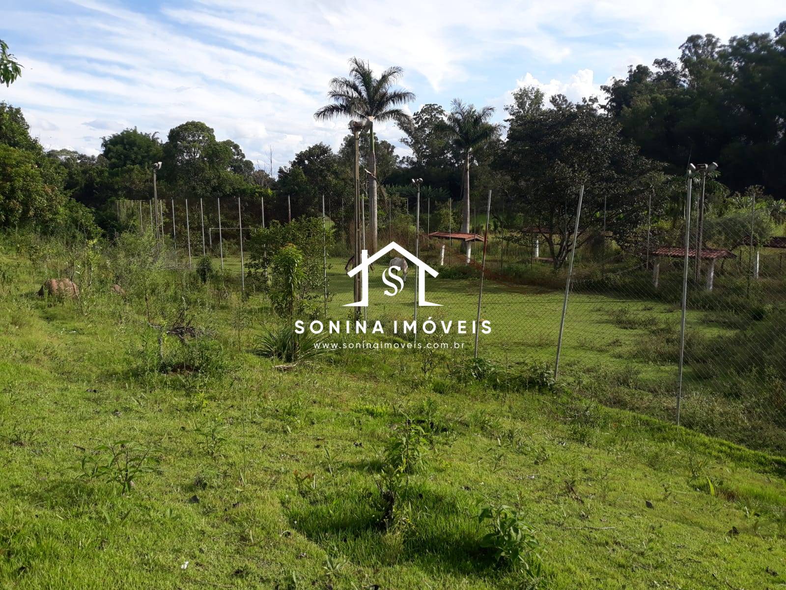 Sítio, 5 quartos, 2 hectares - Foto 16