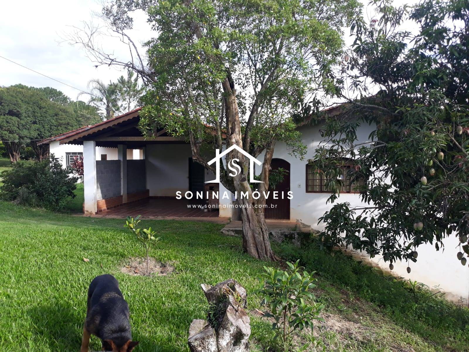 Sítio, 5 quartos, 2 hectares - Foto 44