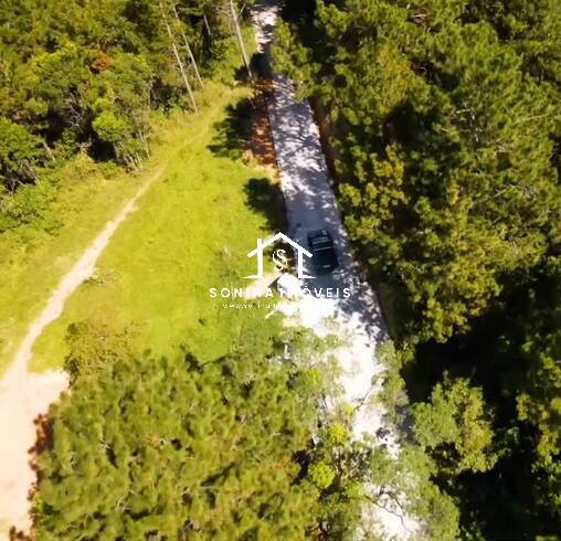 Terreno, 2 hectares - Foto 6