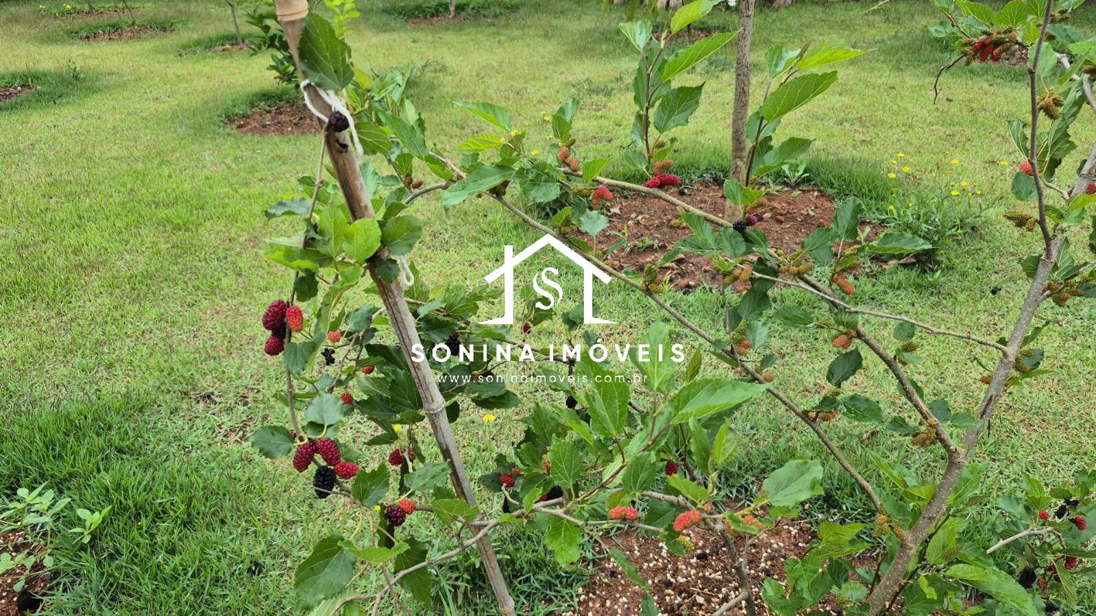 Casa, 3 quartos, 186 m² - Foto 15