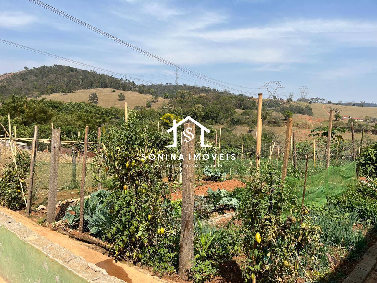 Sítio, 14 quartos, 3 hectares - Foto 19