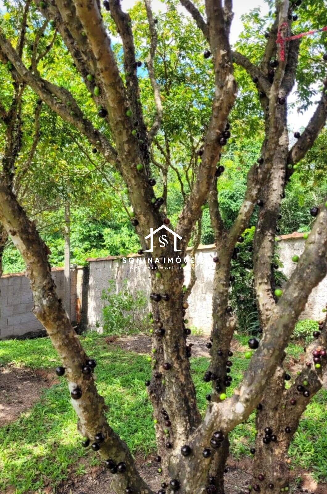 Sítio, 3 quartos, 1100 m² - Foto 11