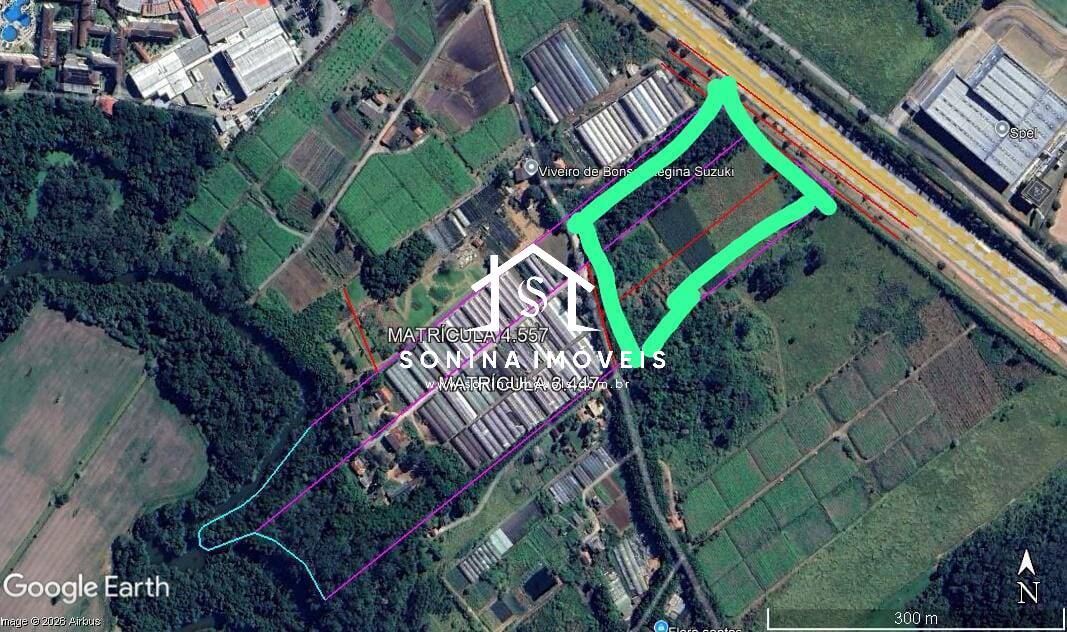 Terreno, 4 hectares - Foto 3