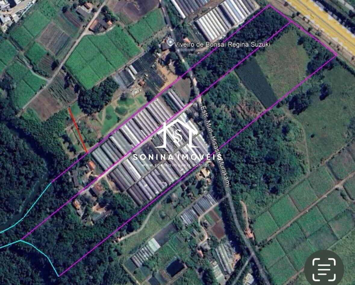 Terreno, 4 hectares - Foto 4